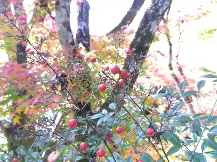 宝泉院(京都府)