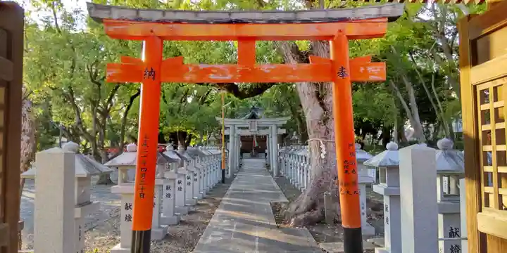 信太森神社(葛葉稲荷神社)(大阪府)