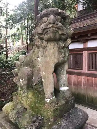 往馬坐伊古麻都比古神社の狛犬