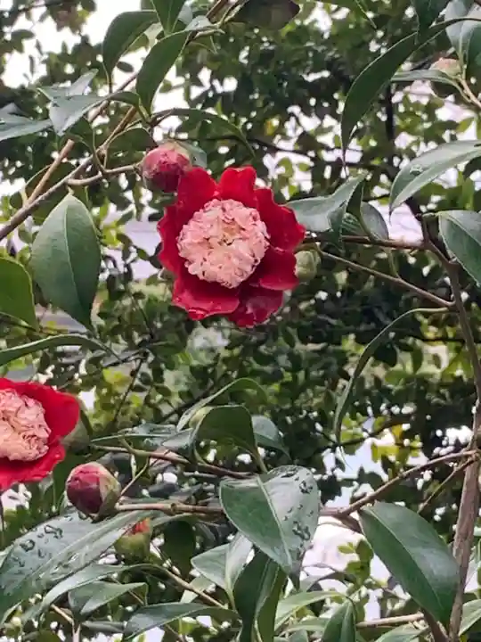 城南宮(京都府)