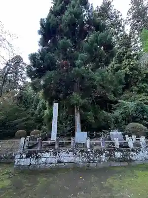 妙義神社(群馬県)