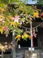 鹿島台神社の本殿・本堂