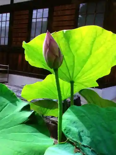 長善寺(東京都)