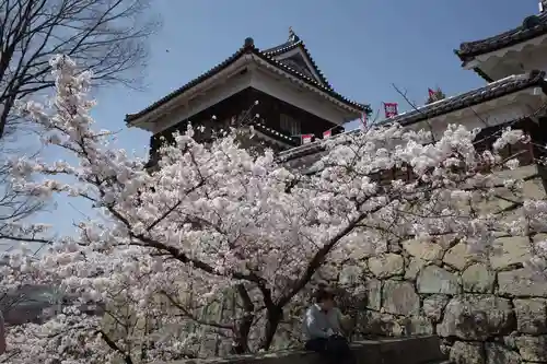 眞田神社の自然