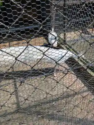 楽法寺（雨引観音）(茨城県)
