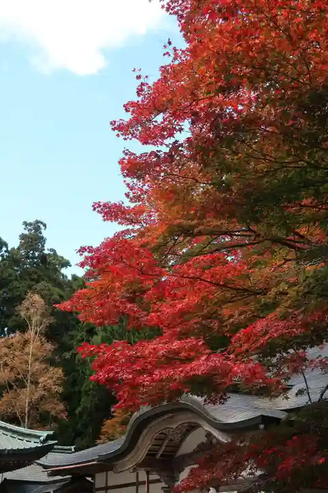 比叡山延暦寺の自然