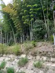 諏訪神社(神奈川県)