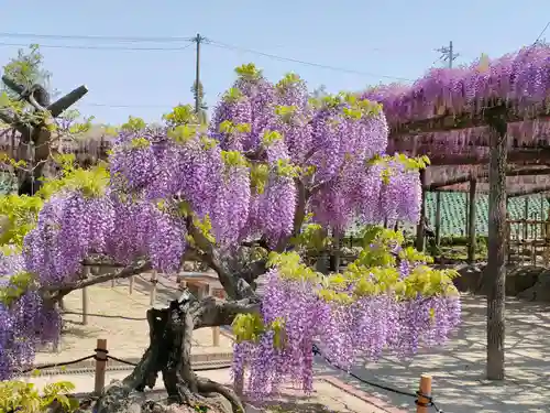 宮川神社（宮川町）の周辺