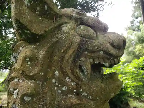 白山神社の狛犬