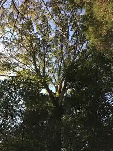 東宮神社の自然