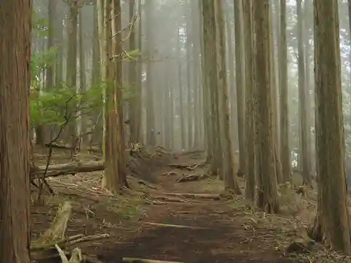 大山寺(神奈川県)