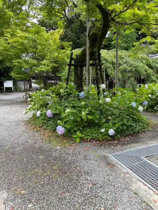 水無瀬神宮(大阪府)