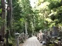 高野山金剛峯寺奥の院(和歌山県)