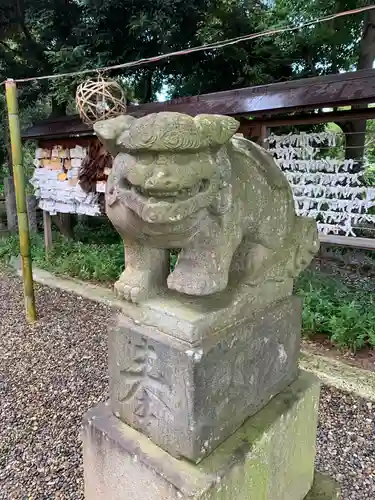 菊田神社の狛犬