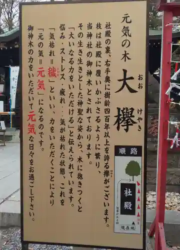 鎮守氷川神社の歴史