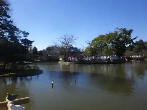 鶴岡八幡宮の庭園