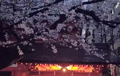 花園神社(東京都)