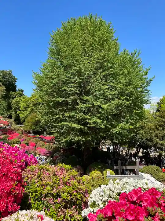 根津神社(東京都)