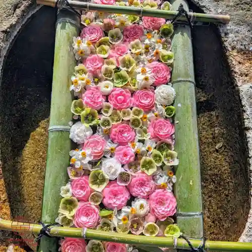 立志神社(滋賀県)