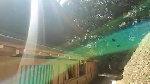 猿田神社のその他建物