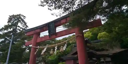白鬚神社(滋賀県)