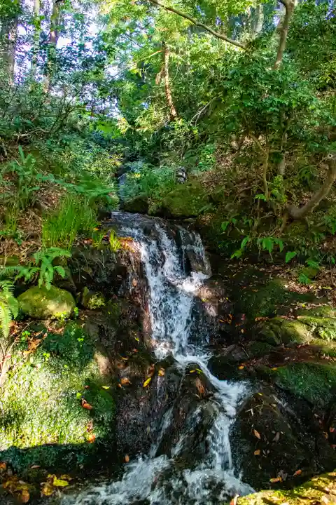 白山比咩神社の自然