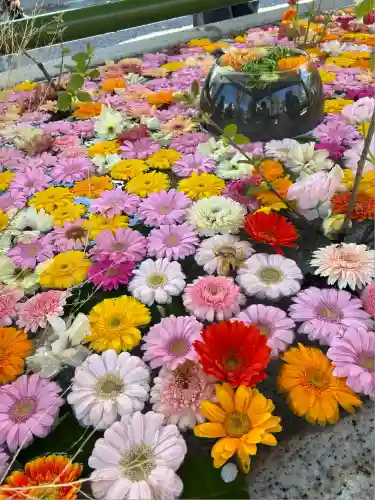 住吉神社(北海道)