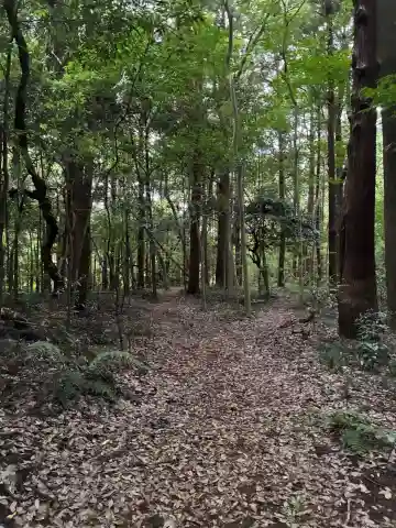 白幡神社(千葉県)