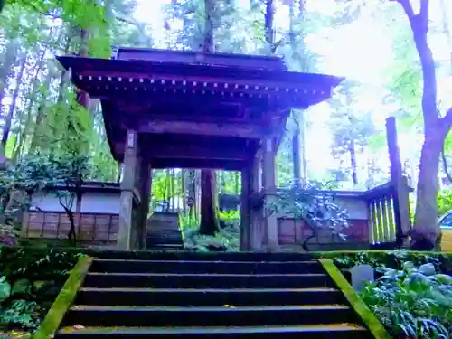 大雄寺の山門