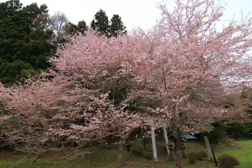 赤津稲荷神社の庭園