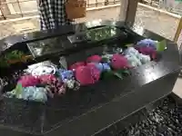 新琴似神社の手水舎