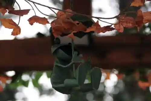 阿久津「田村神社」（郡山市阿久津町）旧社名：伊豆箱根三嶋三社の狛犬