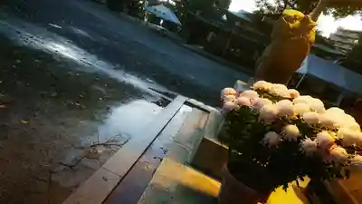 尾張大國霊神社(国府宮)の狛犬