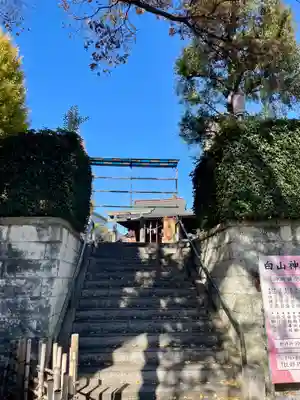 白山神社(東京都)