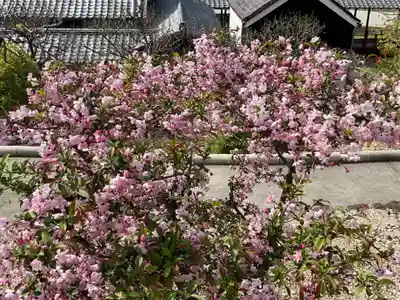 八事山 興正寺(愛知県)