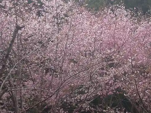 北海道神宮の自然