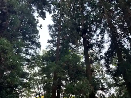 大宮温泉神社(栃木県)