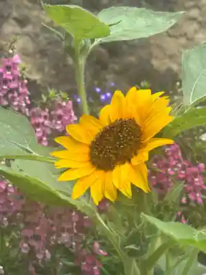 聖光寺(福岡県)