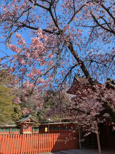 富士山本宮浅間大社(静岡県)