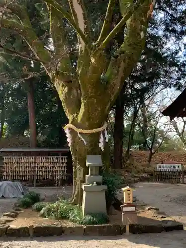 武田神社の庭園