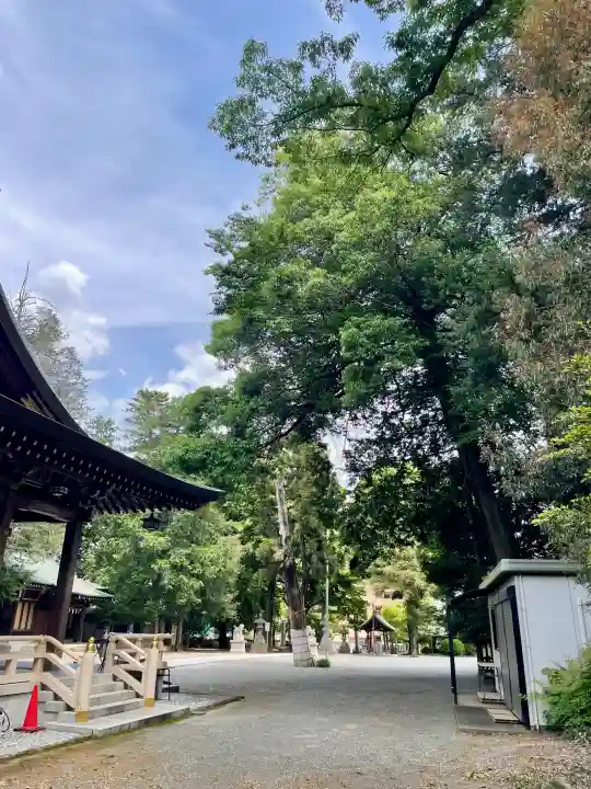 東村山八坂神社(東京都)