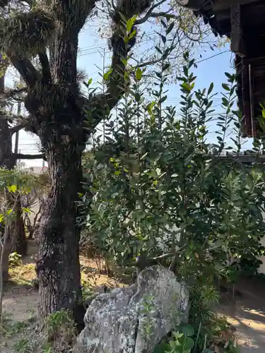 良仙寺(兵庫県)