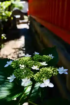 御霊神社(奈良県)