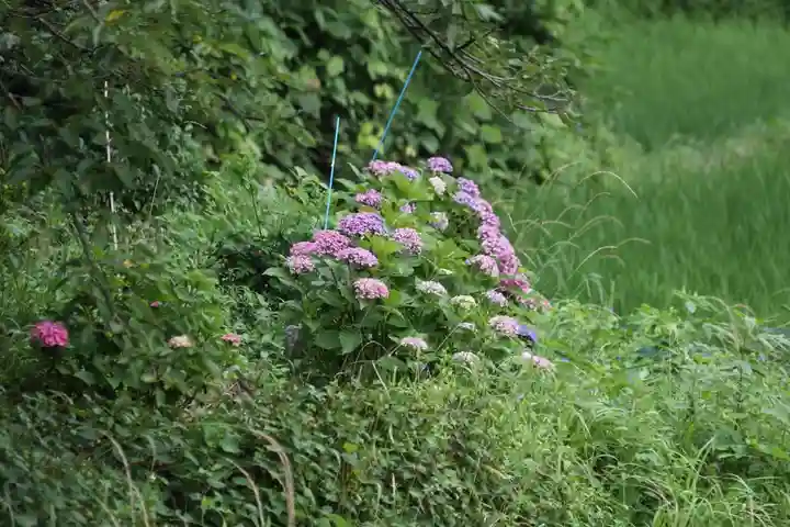 高司神社〜むすびの神の鎮まる社〜の庭園