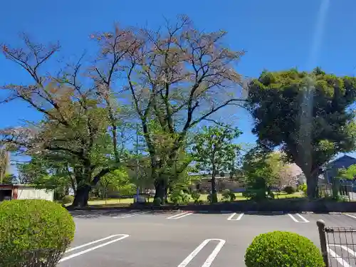 光明寺(栃木県)