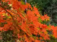 牟禮山観音禅寺の自然