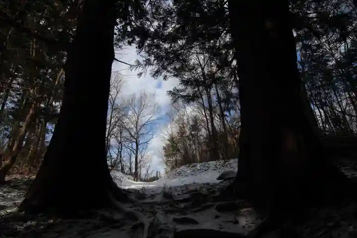鹿島大神宮の自然