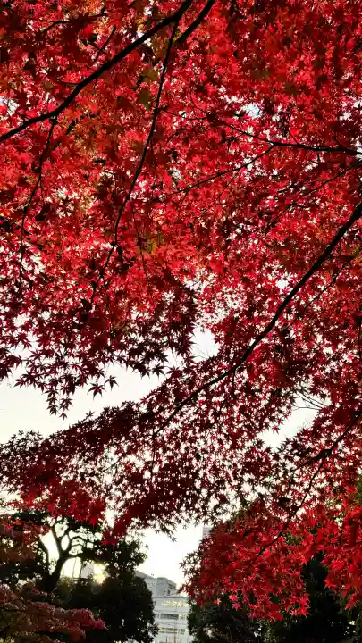 【閉業】小石川大神宮の{uncategorized: "未分類", other: "その他", undefined: "問題あり", building: "その他建物", grave: "お墓", sacred_gate: "鳥居", guardian: "狛犬", statue: "像", buddha: "仏像", history: "歴史", nature: "自然", garden: "庭園", animal: "動物", pagoda: "塔", temizu: "手水舎", mountain_gate: "山門・神門", sanctuary: "本殿・本堂", subordinate: "末社・摂社", art: "芸術", scenery: "景色", jizo: "地蔵", ema: "絵馬", goshuin: "御朱印", omikuji: "おみくじ", items: "授与品その他", amulet: "お守り", goshuincho: "御朱印帳", eats: "食事", festival: "お祭り", votive_dance: "神楽", shichigosan: "七五三参", wedding: "結婚式", experience: "体験その他", initially: "初詣", around: "周辺", anti_infection: "感染症対策"}