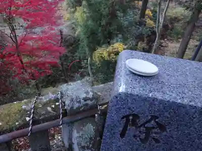 大山寺の体験その他