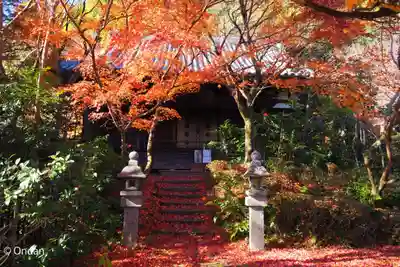 善法律寺(京都府)